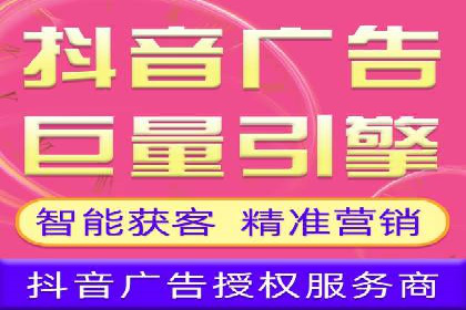 大型企业SEM外包实战案例